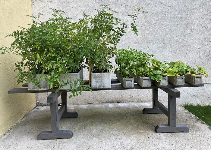 Jedermann Boutiquehotel Mit Stadtgarten 3*