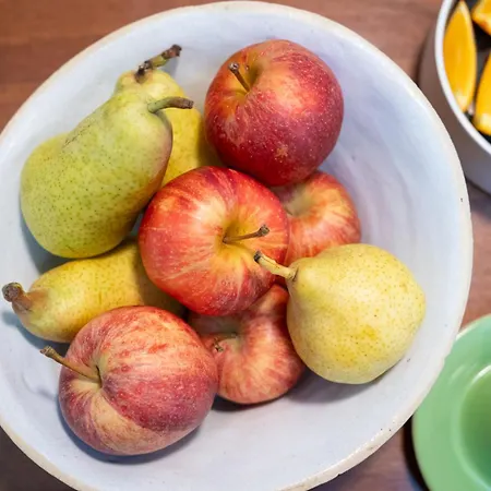 Jedermann Boutiquehotel Mit Stadtgarten 3*