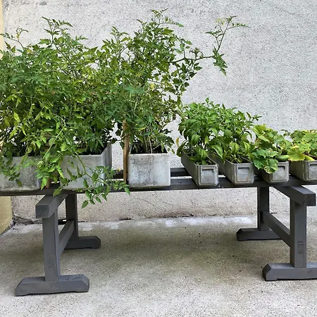 Jedermann Boutiquehotel Mit Stadtgarten 3*